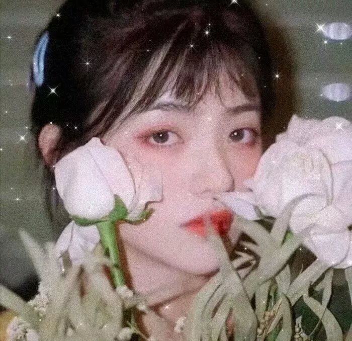 托妮·莫里森：我的作品